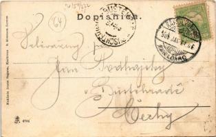 1905 Károlyváros, Karlovac; Jelacicev trg / Jellasics tér, piac, templom. R. Mosinger, Ivan Sagan ki...