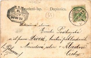 1900 Károlyváros, Karlovac; Pogled na Zrinjski trg / Zrínyi tér, David Kramer, Jos. Purebl üzlete. S...