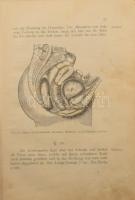 [Magyar bábakönyv] Ungarisches Hebammenbuch. Zweite amtlische Ausgabe. Bp., 1910. M. kir. Állami Nyo...