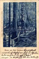 1900 Terme Dobrna, Bad Neuhaus bei Cilli (Celje); Waldandacht / forest. Fritz Rasch (Rb)