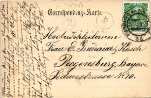 1909 Maribor, Marburg; Schloss Windenau / castle. Verlag v. Heinrich Krapek Photograph (EK)