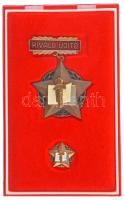 1970 k. "Kiváló Újító" műgyantás bronz jelvény miniatűrrel eredeti, sérült tokban T:AU