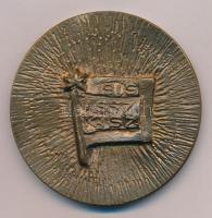 1975. "Paksi Atomerőmű - KISZ - Építkezés / KISZ 1919-1957" kétoldalas öntött bronz emléké...