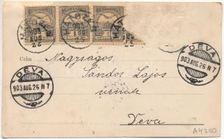 1903 Hátszeg, Hateg; Rudolf trónörökös retyezáti emléktáblájának leleplezési ünnepélye 1897-ben. Gro...