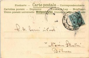 1903 Ljubljana, Laibach; Dezelni dvorec / Landschaftliche Burg / castle. Selbstverlag U. Cotman Art ...