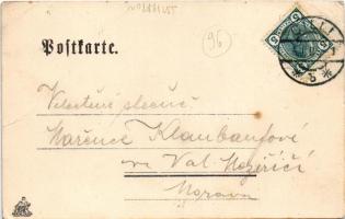 1905 Terme Dobrna, Bad Neuhaus bei Cilli (Celje); Hauptplatz / main square, shops. Fritz Rasch Art N...