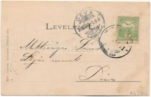 1908 Dobra, Hunyaddobra (Hunedoara); utcakép, Petrovits József üzlete, gyógyszertár. Adler fényirda ...