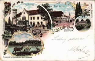 1899 Slivnica pri Mariboru, Schleinitz (Steiermark); Burg Schleinitz, Wregg's Gasthaus u. Weingartenhaus, Damhirsch-Park / castle, inn, vineyard house, fallow deer. Kunstanstalt Karl Schwidernoch Art Nouveau, floral, litho (EB)