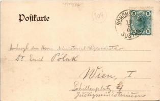 Velenje, Wöllan; Burg Schallegg bei Wöllan / Grad Salek / castle, church. Verlag Jos. Wutti (fl)