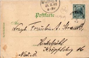 1902 Vitanje, Weitenstein; general view with church (fl)