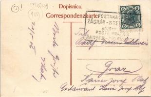 1906 Krsko, Gurkfeld; general view + "POSTAKALAUZ ZÁGRÁB - STEINBRÜCK KÖZÖTT" kétnyelvű va...