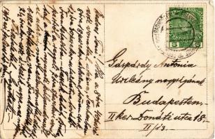 Girl with flowers art postcard (EB)