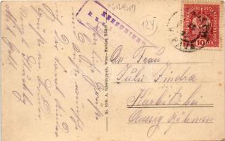 1917 Vipava, Wippach; general view, castle ruins. A. Schwidernoch