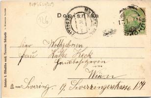 1905 Suhopolje, Szentendre, Terezovac; Glavna ulica, Rim. kat. crkva, Kolodvor, Vlastelinski dvor / ...