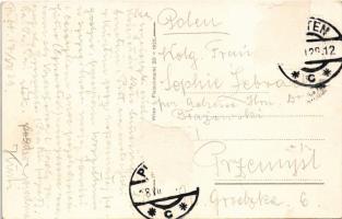 1929 Pitten, Rundblick auf die Sommerfrische Pitten / general view (Rb)