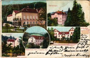 1900 Terme Dobrna, Bad Neuhaus bei Cilli; Landes Curanstalt, Curhaus, Herrenhaus, Hygiea, Schweizerhof, Wiesenhaus, Post- und Telegrafen Amt / spa, sanatorium, hotel, villas, post and telegraph office (b)