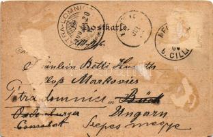 1900 Terme Dobrna, Bad Neuhaus bei Cilli; Landes Curanstalt, Curhaus, Herrenhaus, Hygiea, Schweizerh...