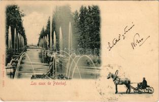 1900 Petergof, Peterhof, Petrodvorets (Saint Petersburg); Les eaux. Stengel &amp; Co. Dresden 12005. / fountains (EK)