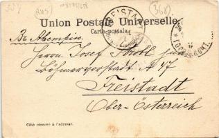 1901 Vyborg, Wiborg, Viborg, Viipuri; square. Clouberg &amp; Co. Art Nouveau, floral frame (EK)