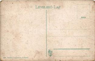 Visegrád, Gizella-telep, Dr Renner physikalis és diaetetikai szanatóriuma, sétány a szanatórium és m...