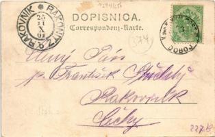 1901 Doboj, Station / railway station, train, locomotive. Joh. Streitz (fl)