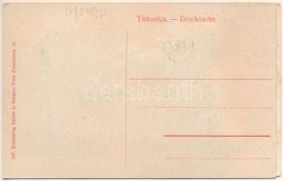 Trebinje, Totalansicht / general view. leporellocard with 10 pictures. Kunstverlag Cappon (EK)