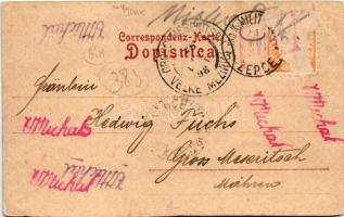 1898 Zepce, Katholische Kirche, Blick auf das Bezirksamt / Catholic church, district office, wooden ...