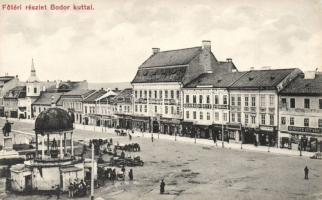 Marosvásárhely main square Bodor fountain with the press of Árpád Adi and the shop of István Dudutz