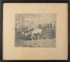 Halász József (1874-1935): Szántás. Rézkarc, papír, jelzett a karcon. Lapszéli ázásnyommal. Üvegezett fakeretben. 15,5x19 cm