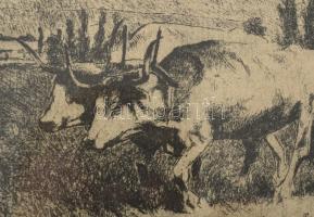 Halász József (1874-1935): Szántás. Rézkarc, papír, jelzett a karcon. Lapszéli ázásnyommal. Üvegezet...