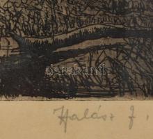 Halász József (1874-1935): Falusi táj. Rézkarc, papír, jelzett. Lapszéli ázásnyommal. Üvegezett fake...