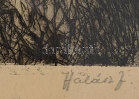 Halász József (1874-1935): Hegyi kunyhó. Rézkarc, papír, jelzett. Lapszéli ázásnyommal. Üvegezett fa...