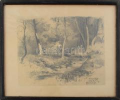 Halász József (1874-1935): Sopron környéki táj. Ceruza, papír, jelzett. Üvegezett fakeretben. 20,5×25 cm