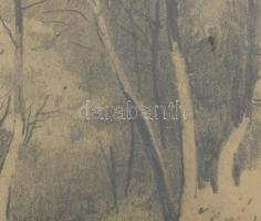 Halász József (1874-1935): Sopron környéki táj. Ceruza, papír, jelzett. Üvegezett fakeretben. 20,5×2...