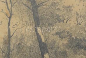 Halász József (1874-1935): Sopron környéki táj. Ceruza, papír, jelzett. Üvegezett fakeretben. 20,5×2...