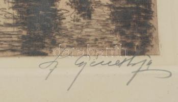 Szentgyörgyvári Gyenes Lajos (1890-1971): Vízparti táj. Rézkarc, papír, jelzett. Ázásnyommal. Üvegez...