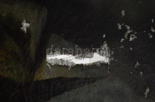 Jelzés nélkül, XIX. sz. festő: Szarvasbika és sasok. Olaj, vászon, sérült. Dekoratív fakeretben, 54,...