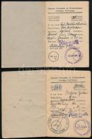 1949-1951 Dolgozó Parasztok és Földmunkások Országos Szövetsége tagsági könyv, 2 db, mindkettőben bé...