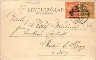 1909 Szávaszentdemeter, Mitrovitz an der Save, Sremska Mitrovica; Továrna na extrakt z dubového drev...