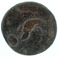 Római Birodalom 069-81 / Augustus (posztumusz, Titus alatt) / Róma / AE25 bronz (8,73g) T:VF,F /
Ro...