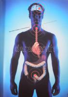 Uwe Zündorf: 100 Years Aspirin. Ford.: Láng Ildikó. A fordító, Dr. Láng Ildikó által dedikált példán...