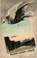 1907 Wien, Vienna, Bécs; Schönbrunn / Prinasím pozdrav z Vídne / royal castle park. Art Nouveau montage with dove, Czech edition (EK)