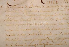 1749 Mária Terézia nevében kiadott kiváltságlevél Gerard Dubois Greylien a belgiumi Namur polgármest...