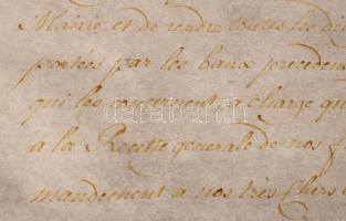 1749 Mária Terézia nevében kiadott kiváltságlevél Gerard Dubois Greylien a belgiumi Namur polgármest...