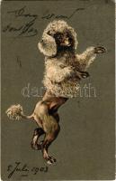 1903 Poodle, Emb. litho dog art postcard (EK)