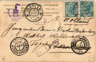 1903 Poodle, Emb. litho dog art postcard (EK)