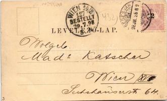 1898 Wanderzigeuner. Siebenbürgische Volkstrachtenkarten No. 7. Verlag v. H. Zeidner (Kronstadt), Li...