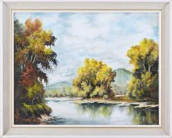 SJ jelzéssel: Vízparti táj. Olaj, farost. Dekoratív fakeretben. 29×37 cm