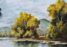 SJ jelzéssel: Vízparti táj. Olaj, farost. Dekoratív fakeretben. 29×37 cm