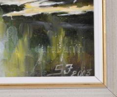 SJ jelzéssel: Vízparti táj. Olaj, farost. Dekoratív fakeretben. 29×37 cm